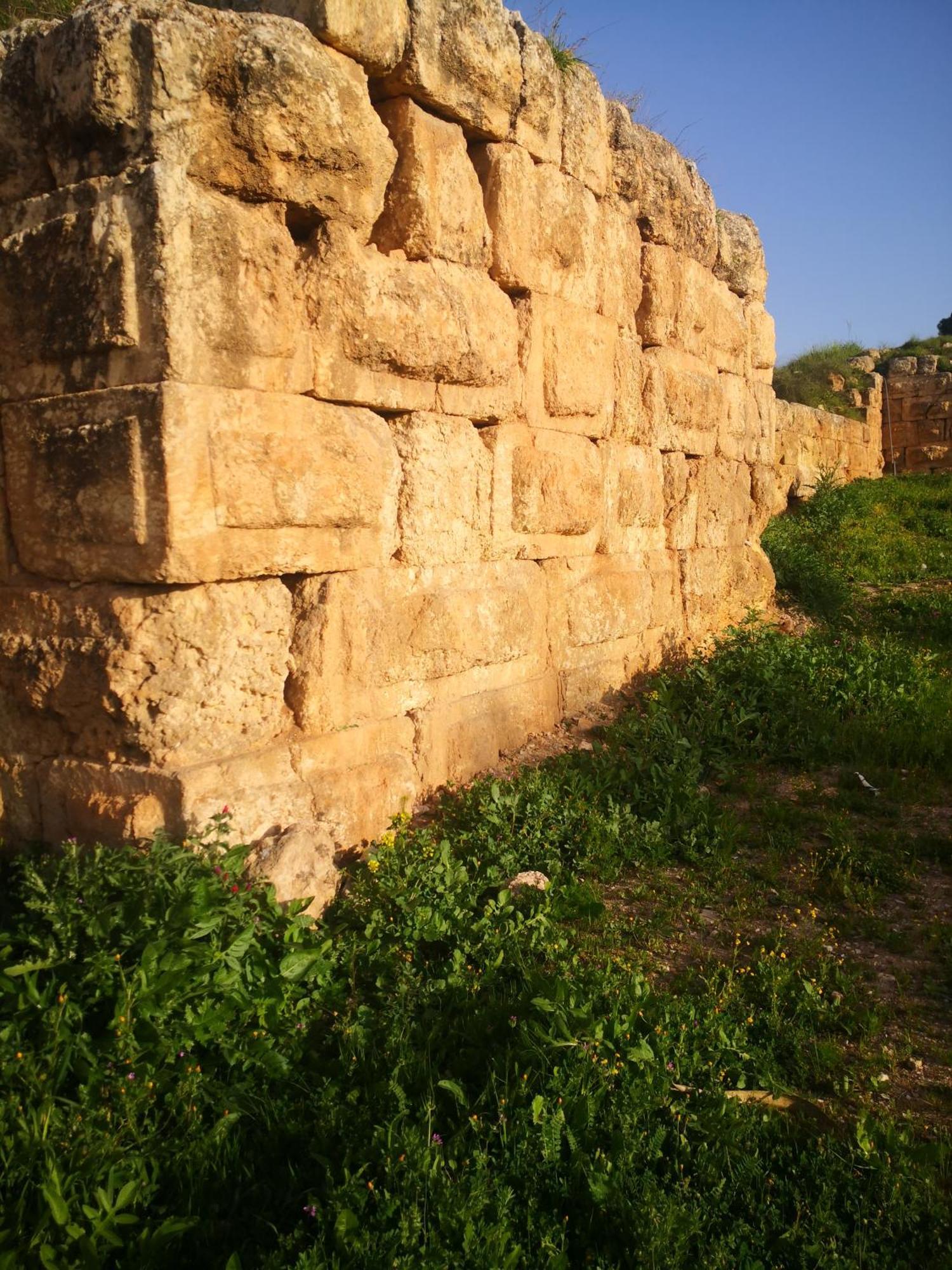 White Tulips Apartment الزنبقة البيضاء Jarash Exterior photo