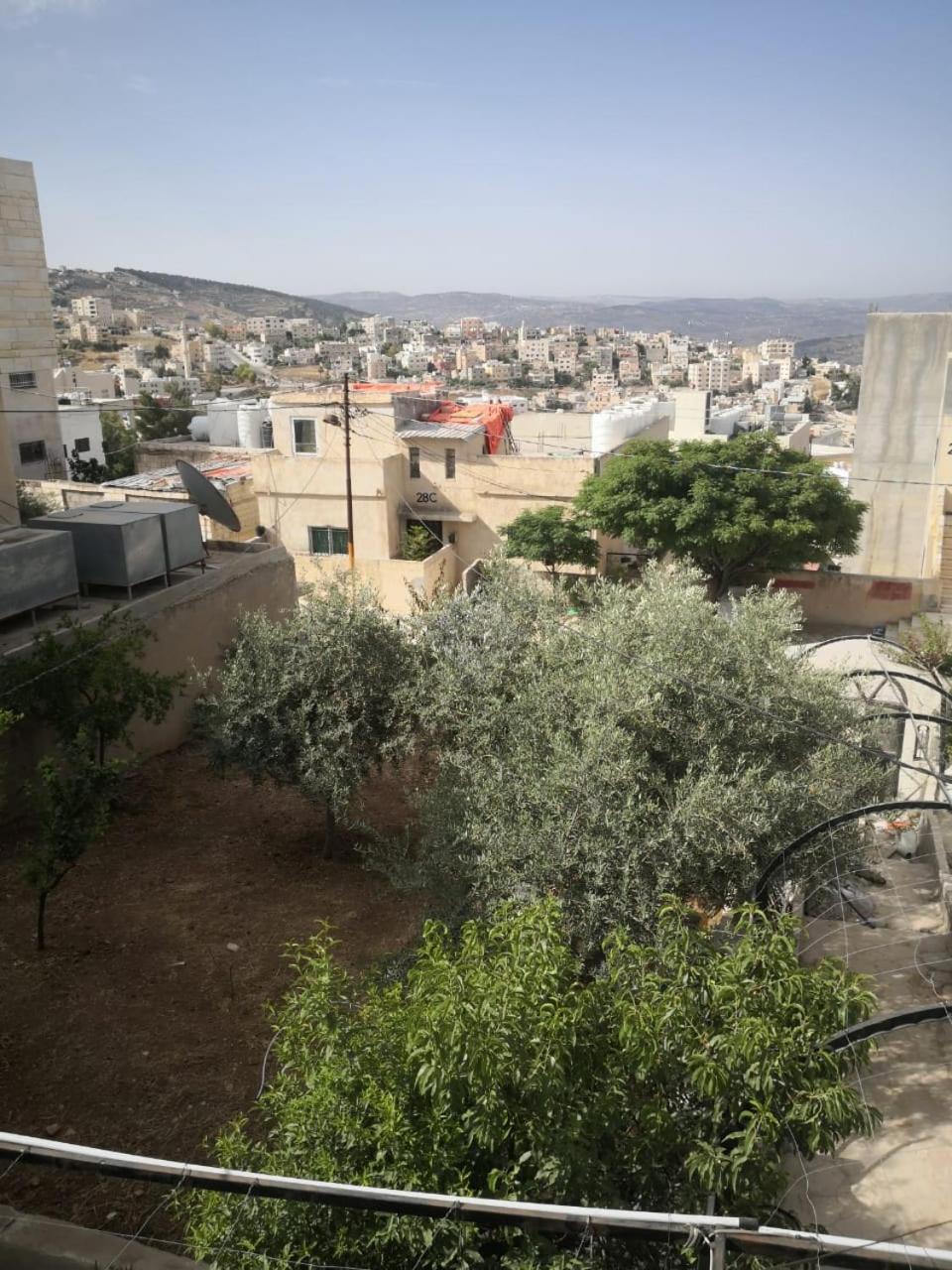White Tulips Apartment الزنبقة البيضاء Jarash Exterior photo